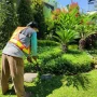 Gardener – Spesialis Perawatan Taman